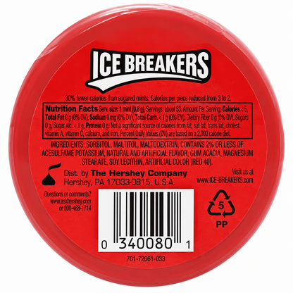 Icebreakers Mints Cinnamon 42gm Imported From USA - Nosh Products