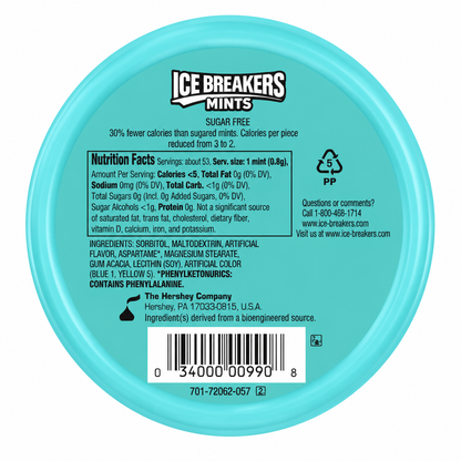 Icebreakers Mints Wintergreen 42gm Imported From USA - Nosh Products